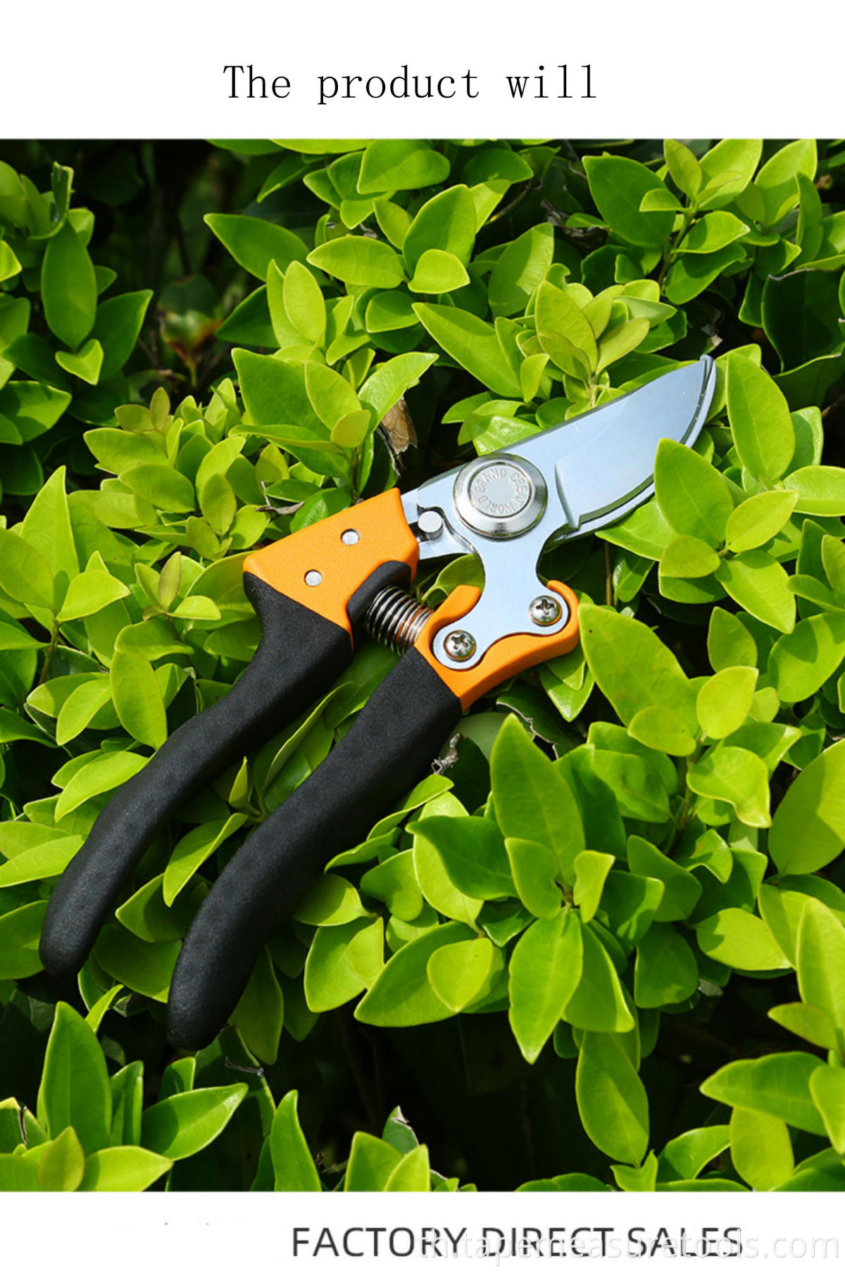 เครื่องมือสวน Gardening Shears สาขากรรไกรกรรไกรตัดแต่งกิ่งบ้านสวน Fine Pruning Grafted ผลไม้กรรไกร